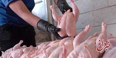 ثبت پایین‌ترین قیمت مرغ در ۱۶ ماه گذشته / مرغ تازه در میادین به زیر ۱۰ هزار تومان رسید