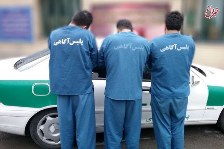 متلاشی شدن باند سرقت از باغ ویلاهای مشهد / ٢۵ متهم دستگیر شدند