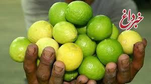 واردات لیمو ترش برای تعدیل قیمت داخلی