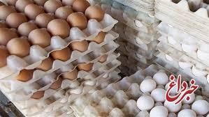 مدیرکل پشتیبانی امور دام: تخم‌مرغ شانه‌ای ۱۰ هزار تومان در تهران ارزان شد