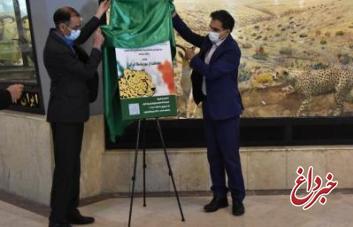 مشارکت فعال بانک تجارت در پویش حفاظت از یوزپلنگ ایرانی