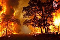 آتش‌سوزی گسترده در مناطق تحت حفاظت سازمان محیط زیست