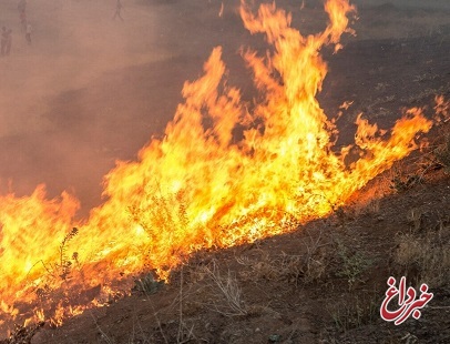 آتش بار دیگر در جنگل‌های سالند دزفول شعله‌ور شد
