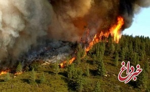 جنگل‌های رامیان آتش گرفت