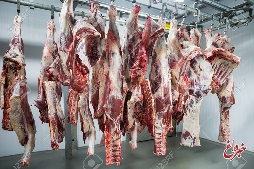 چرا گوشت گوساله از ۱۴۰ به ۱۷۰ هزار تومان رسید؟ / انجمن صنفی گاوداران: خوراک گاو ۲۰۰ تا ۵۰۰ درصد گران شده