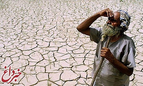 افزایش مرگ و میر زودرس بر اثر خشکسالی