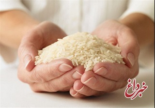پیشنهاد تغییر ممنوعیت فصلی واردات برنج به تعرفه فصلی