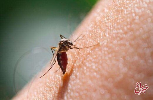 ورود مالاریا از شرق کشور تهدید جدی است