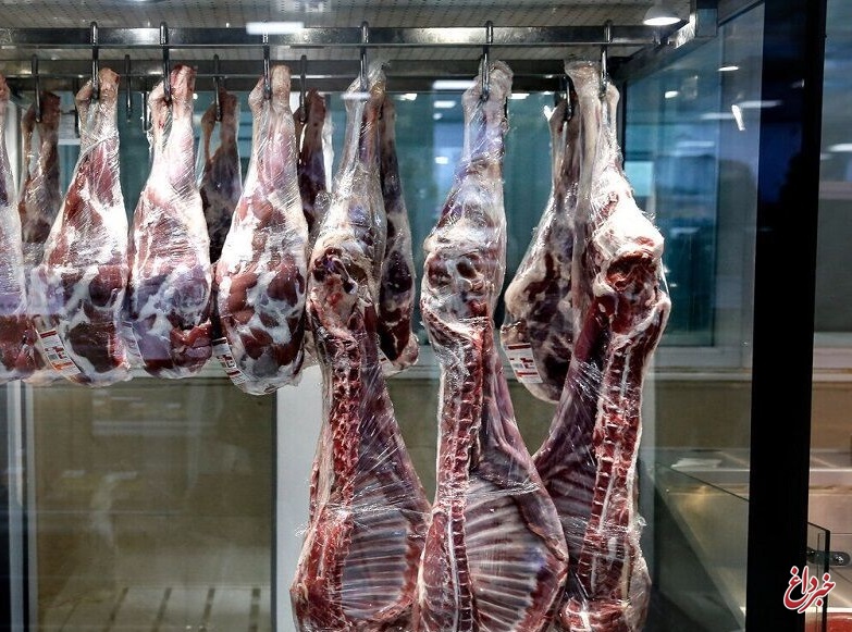 رییس شورای تامین کنندگان دام: قیمت گوشت قرمز در ترکیه از ایران ارزان‌تر است