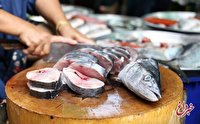خوردن ماهی لاکچری شد/ آخرین قیمت انواع ماهی در بازار
