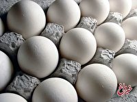 تخم‌مرغ در سبد گران ‌فروشی/ تخم‌مرغ 5 تا 8 هزار گران‌تر از قیمت مصوب بفروش می رسد