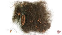 کشف ماده مخدر توهم‌زا در دسته موی یافت‌شده در غاری در اسپانیا متعلق به ۳ هزار سال پیش