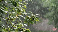 پیش‌بینی وضعیت هوا در تعطیلات آخر هفته/ آسمان این استان‌ها بارانی می‌شود