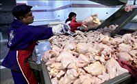 قیمت بال مرغ در بازار چند؟ + جدول (۱۸شهریور)
