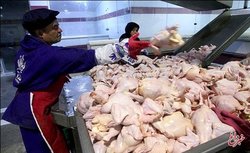بازگشت مرغ به قیمت مصوب ستاد تنظیم بازار/ قیمت مرغ به این دو دلیل کاهش یافت