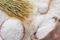 قیمت جهانی برنج بالا می رود اگر...