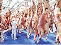 وضعیت عجیب در بازار گوشت/ فروش گوسفند با کارت ملی سوژه شد!