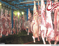 افزایش صادرات دام/ کاهش عرضه عامل گرانی گوشت