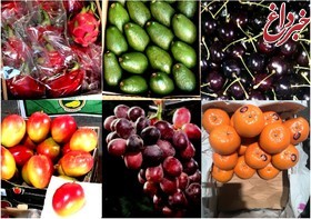 کشف 31 تن میوه قاچاق/ امحای میوه‌ها روز چهارشنبه