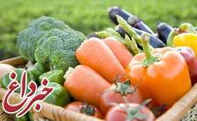 گیاهخواری، راه نجات محیط زیست و انسان