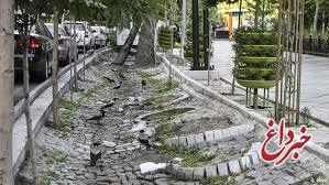 درختان خیابان ولیعصر تهران در شرف نابودی