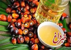 تکذیب آمار افزایش ۵۶ درصدی واردات روغن پالم