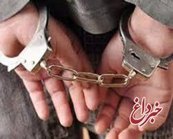 پلیس: دستگیری 2 جاسوس در جزیره ابوموسی