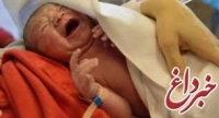 بازگرداندن نوزاد ربوده شده به مادرش بازگرداندن نوزاد ربوده شده به مادرش