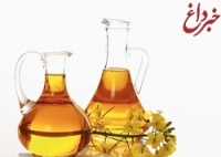 آشنایی با 5 گیاه پر چرب آشنایی با 5 گیاه پر چرب