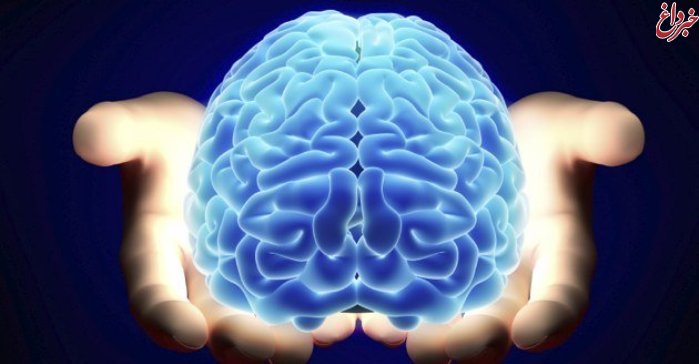 ۱۰ واقعیت جالب در مورد مغز انسان