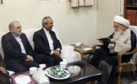 آیت الله صافی گلپایگانی: دولت در مسیری که تاکنون پیموده موفقیت های زیادی به دست آورده است