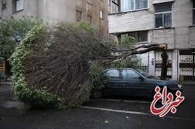 جزئیات حوادث توفان امروز در پایتخت