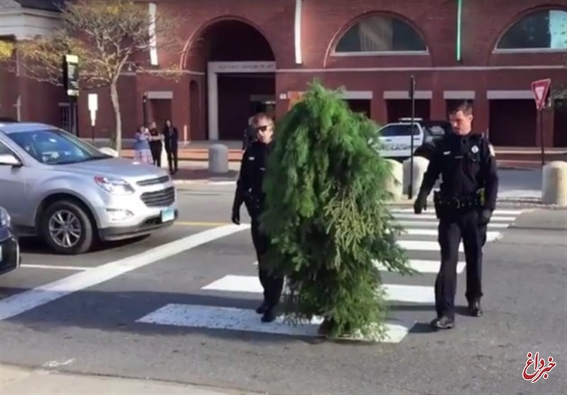 «مرد درختی» بازداشت شد! +عکس