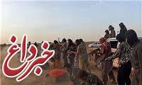 داعش 28 نفر را در عراق اعدام کرد