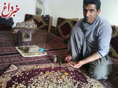 نجات جان یک سنجاب باردار از سرمای هوا در روستای انجمنه سروآباد نجات جان یک سنجاب باردار از سرمای هوا در روستای انجمنه سروآباد