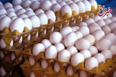اتاق بازرگانی: واردات تخم مرغ تا ۶ ماه دیگر باید ادامه پیدا کند/ تولید کنندگان در بحران خوب عمل کردند