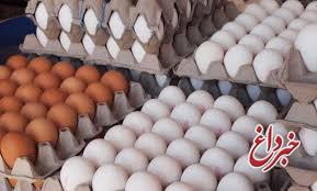 قیمت تخم مرغ به کمتر از قیمت مصوب رسید