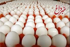 تخم‌مرغ شانه‌ای ۲۰هزار تومان شد؟/ قیمت تخم‌مرغ در هفته‌های اخیر با طی روند صعودی در حال افزایش است