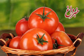 گوجه گران نیست گوجه گران نیست