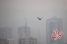 هشدار وزارت بهداشت در پی تشدید آلودگی هوا؛ سرطان‌زای قطعی است/در منزل بمانید