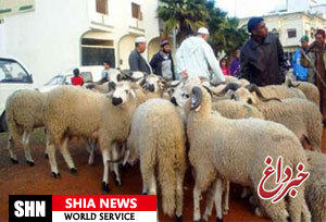 25 کشته و 30 زخمی در سودان به خاطر گوسفند