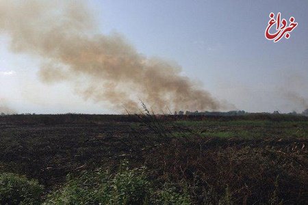آتش زدن تالاب انزلی برای تصرف اراضی