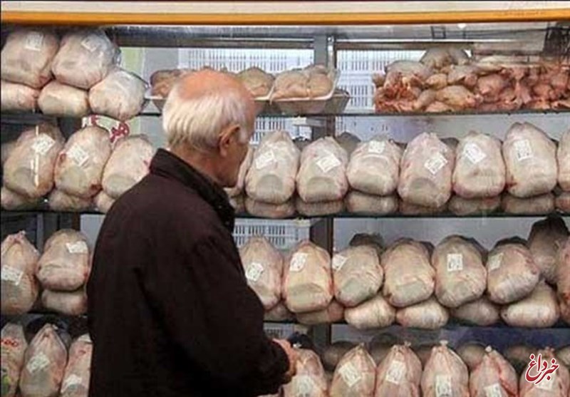 قیمت مرغ در بازار ۱۰۰۰ تومان کاهش یافت
