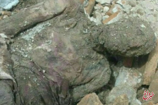 محمدجواد حق شناس: آیا «مومیایی» کشف شده در شهر ری، دفن شده؟ / مسئولان حرم حضرت عبدالعظیم(ع) در این باره چه می‌گویند؟