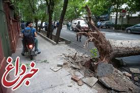 ۷۷ مصدوم و فوتی در طوفان امروز تهران