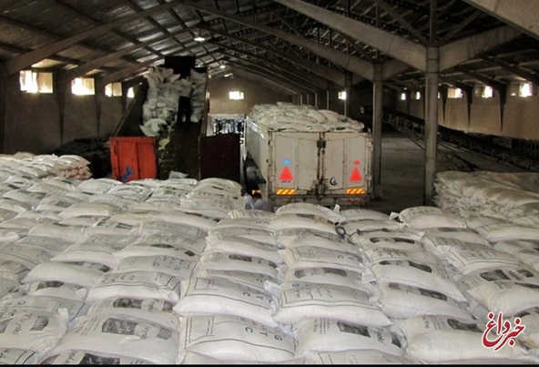 واردات 33 هزار تن برنج تاریخ مصرف گذشته/ دفن برنج در کویر کذب است/ برنج‌ها را یا از کشور خارج می‌کنیم یا به عنوان خوراک دام به مرغداری‌ها ارسال می‌شود