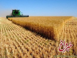 پرداخت بیش از 78 هزار میلیارد ریال از مطالبات گندمکاران توسط بانک کشاورزی تا نیمه شهریور پرداخت بیش از 78 هزار میلیارد ریال از مطالبات گندمکاران توسط بانک کشاورزی تا نیمه شهریور