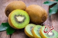 خبری خوش برای افرادی که اضافه وزن دارند / مصرف کیوی لاغرتان می کند