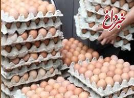 تخم‌مرغ کیلویی۵۸۰۰/ تخم‌مرغ روی دست مرغداران باد کرد