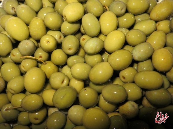 مهدی عباسی: قیمت نجومی روغن زیتون ربطی به تحریم ندارد/ سوء استفاده دلالان از نوسانات ارزی